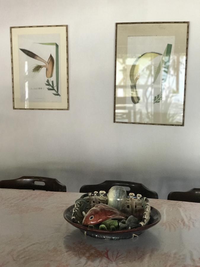 Búzios Casa Amor Do Mar מראה חיצוני תמונה
